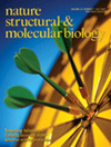 NATURE STRUCTURAL & MOLECULAR BIOLOGY雜志封面